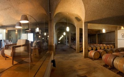 Be my Guest winery visit Durbanville Hills