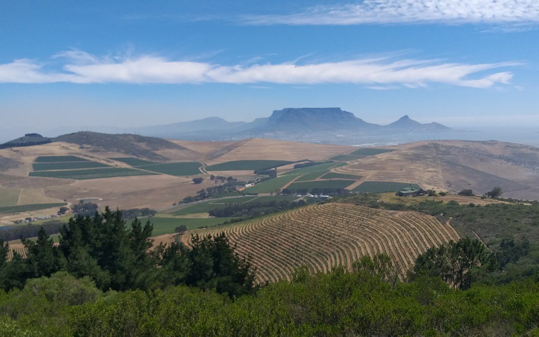The Valley Wine Experience